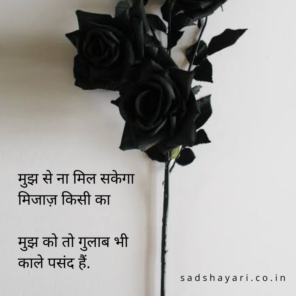 hindi shayari on gulab in hindia for whatsapp status