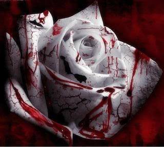10418335 1559930547567988 3244156908440300114 n Mohabat bhi zaroori thi