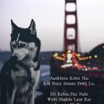 Hindi shayari for judai