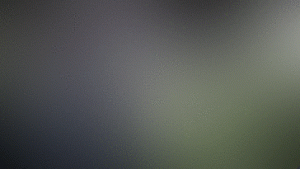 single content gif v01 single_content_gif_v01