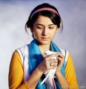 Sad Shayari on Friendship In Hindi
