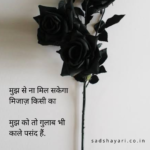 hindi shayari on gulab in hindia for whatsapp status