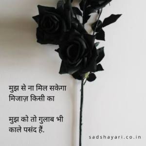 hindi shayari on gulab in hindia for whatsapp status