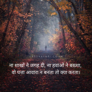 Na shakho ne jagah di
